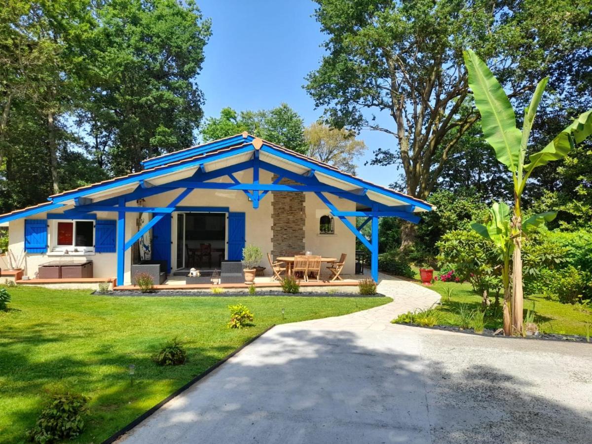 Saint-Martin-de-Seignanx La Clairiere Du Seignanx Bed & Breakfast エクステリア 写真