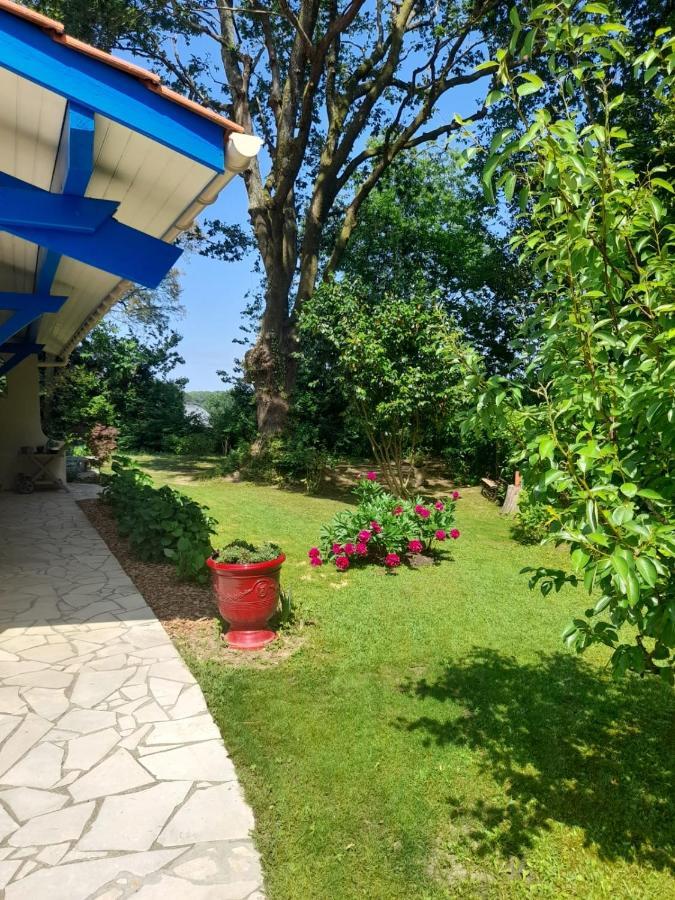 Saint-Martin-de-Seignanx La Clairiere Du Seignanx Bed & Breakfast エクステリア 写真