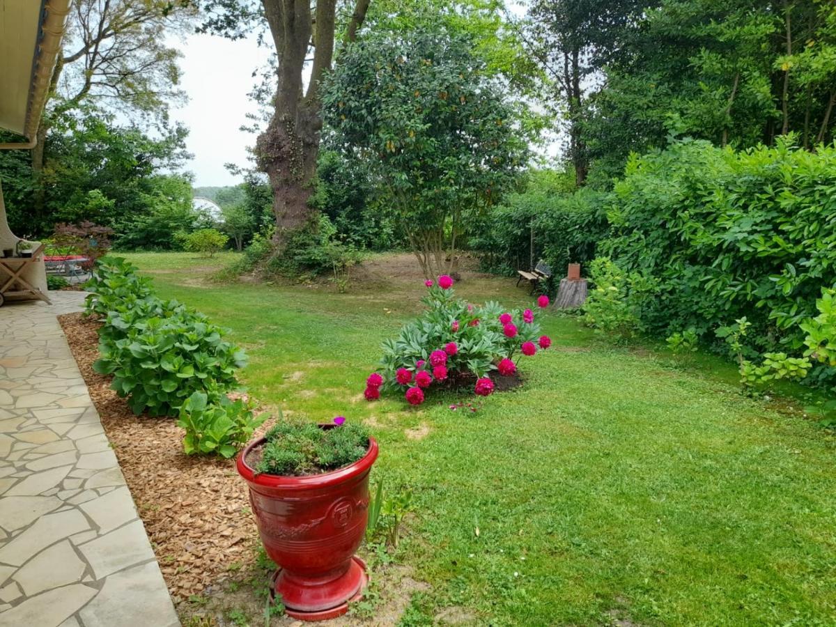 Saint-Martin-de-Seignanx La Clairiere Du Seignanx Bed & Breakfast エクステリア 写真