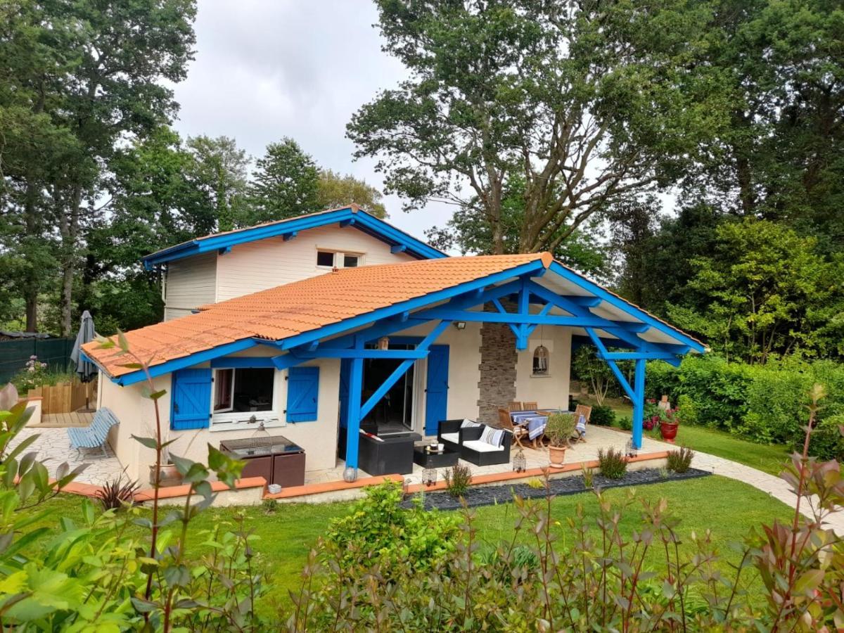 Saint-Martin-de-Seignanx La Clairiere Du Seignanx Bed & Breakfast エクステリア 写真