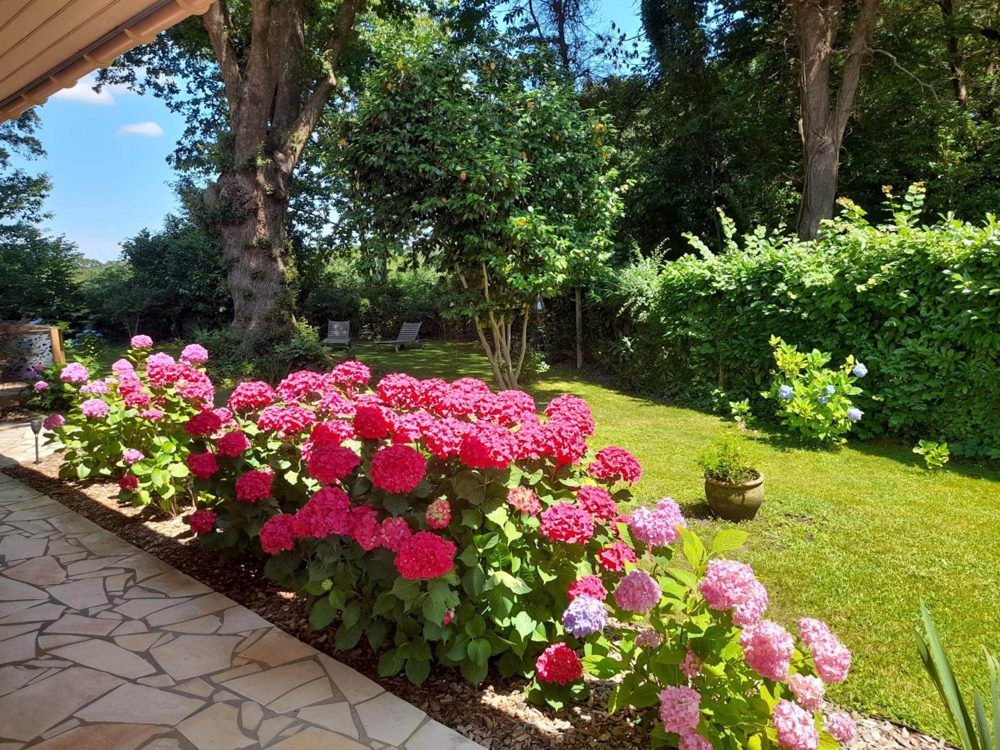 Saint-Martin-de-Seignanx La Clairiere Du Seignanx Bed & Breakfast エクステリア 写真